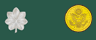 Lieutenant Colonel